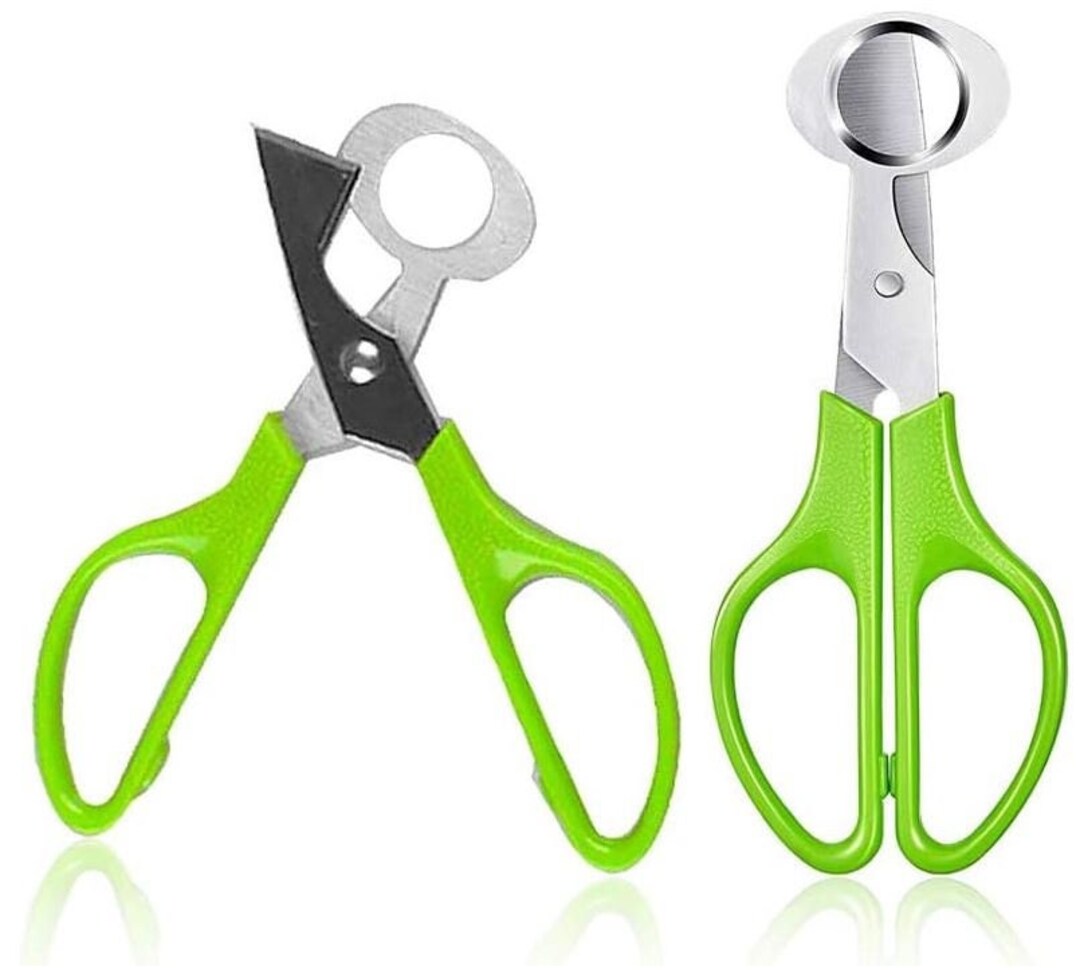 Stainless Steel Quail Egg Scissor Etsy