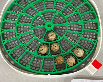 Nurture Right 360 incubator trays for Egg Turner | Snap-together | Hatching Incubator Tray | 3D Printed | Made in USA