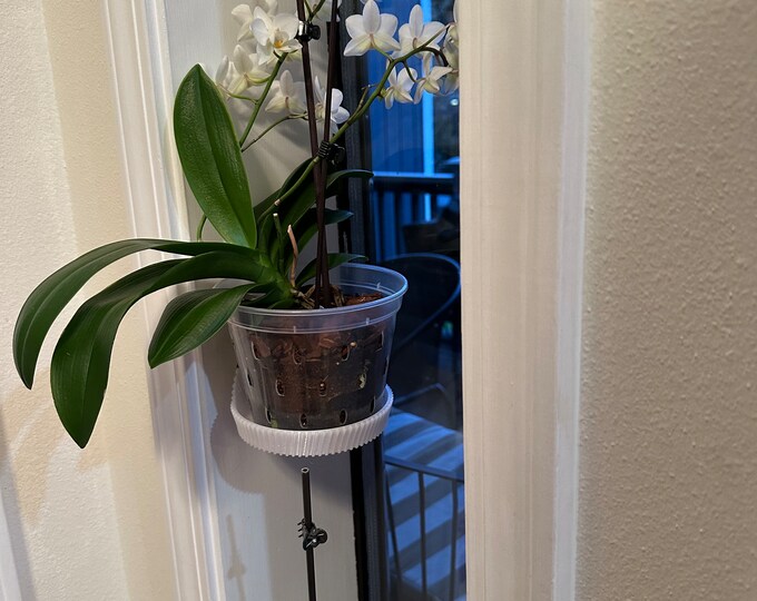 Versatile Orchid Plant Wall Shelf Midcentury Modern Window Shelves