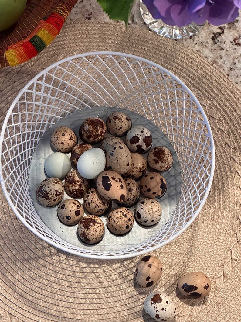 May include: A white wire basket filled with speckled brown and white quail eggs. Some of the eggs are white with a light blue tint. The basket is sitting on a woven straw placemat.