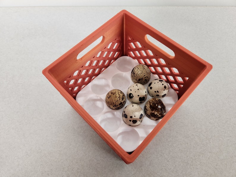 Mini Crates With Flexible Quail Egg Trays L Modern Fresh Egg Storage