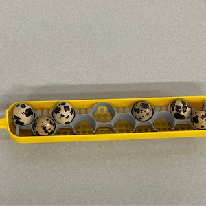 Maticoopx Jumbo Coturnix Quail Egg Rack for Incubators | 3D Printed | Made in USA