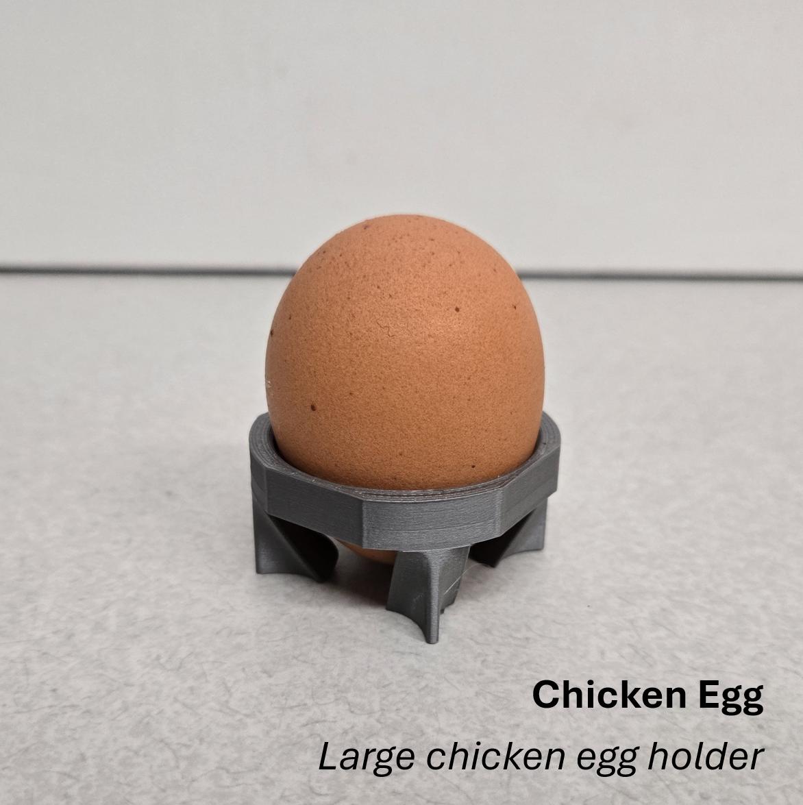 Single Egg Upright Egg Support – Perfect for Shipped or Special Eggs ...