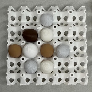 Stackable Egg Tray – Choose Quail or Chicken – Open Carton Style | Reusable Large Capacity Fresh Egg Storage Transport Tray | 3D-Printed