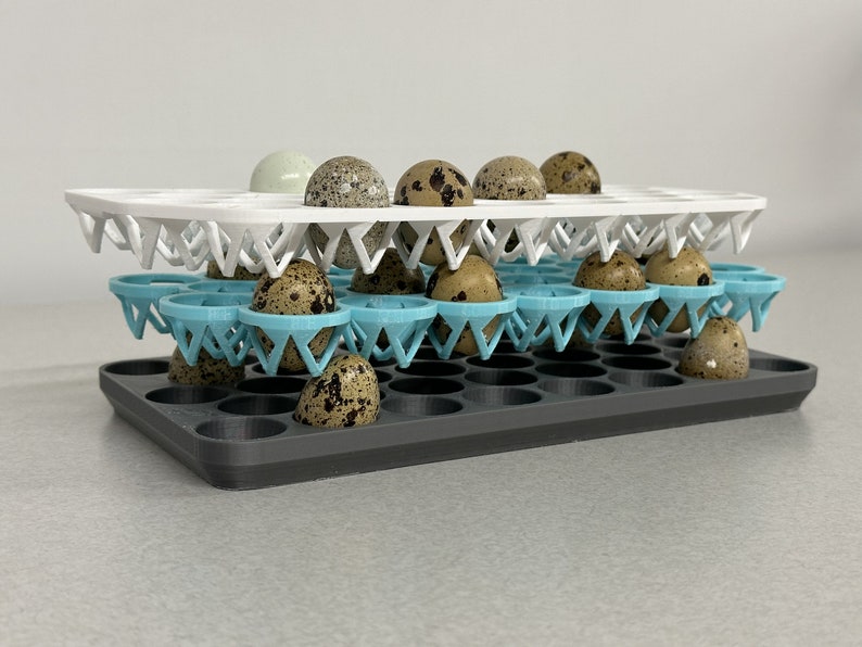 Custom Stackable Coturnix Quail Egg Tray | Farmhouse 3d-printed Egg ...