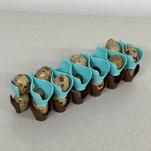 May include: A blue and brown egg carton with quail eggs inside. The carton is made of plastic and has a wavy design.