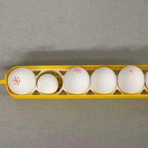 Maticoopx Chicken Egg Rack for Incubator Baskets | 3D Printed | Made in USA