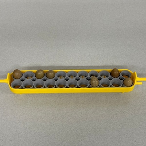 Maticoopx Tiny Button Quail Egg Rack for Incubators | 3D Printed | Made in USA