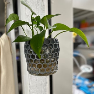 Könnte beinhalten: Ein grauer, sechseckiger Pflanzer mit einer grünen Pflanze, die darin wächst. Der Pflanzer hängt an einer Wand und die Wurzeln der Pflanze sind im Wasser sichtbar.