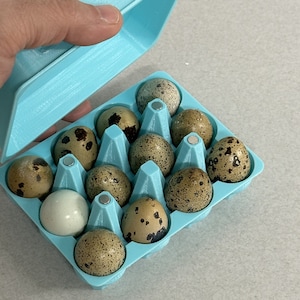 Adorable Classic Coturnix Quail Egg Carton Design | Jumbo or Regular | 12 or 18 eggs | 3D-Printed Egg Storage | Made in USA