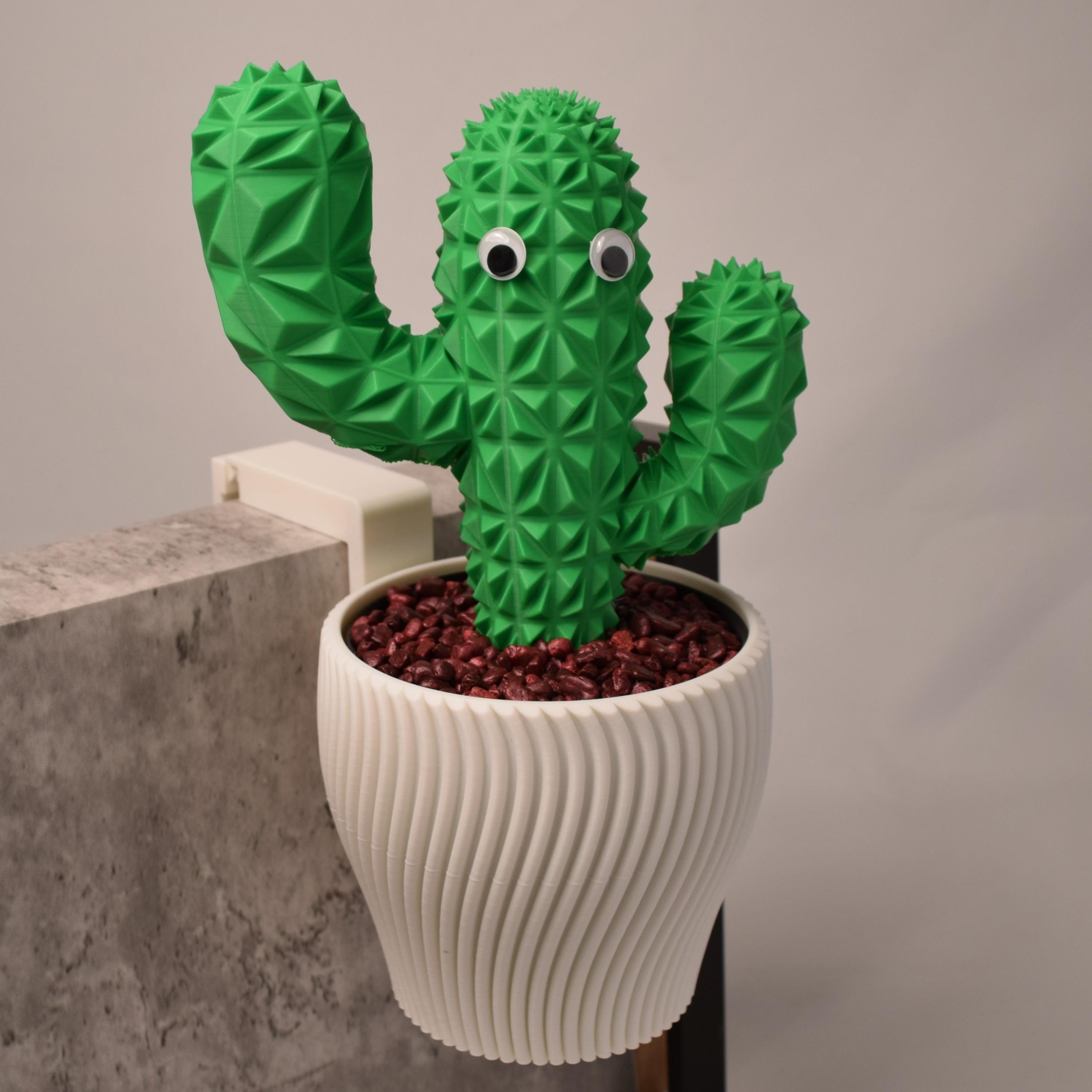 Kaktus mit augen - Etsy sterreich