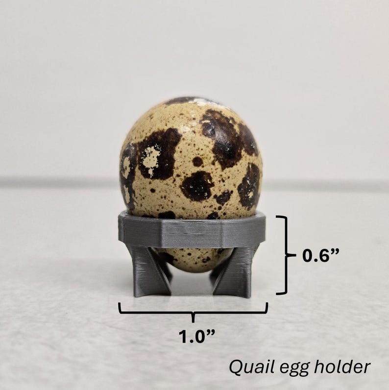 Single Egg Upright Egg Support – Perfect for Shipped or Special Eggs ...