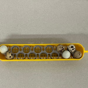 Maticoopx Coturnix Quail Egg Rack for Incubators | 3D Printed | Made in USA
