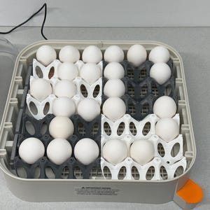 Aufrechte Eierschale für Maticoopx 30 Inkubator und Andere | Stapelbare Eierbecher 3D Gedruckt | Vertikale Inkubatorschale