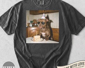 Grappig Pitbull verjaardagsshirt, retro hondenfeestshirt, cadeau voor Pitbull-liefhebbers, schattige kleding voor hondenmoeders, cadeau voor huisdiereigenaren