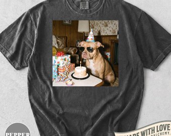 Grappig Pitbull verjaardagsshirt, retro hondenfeestshirt, cadeau voor Pitbull-liefhebbers, schattige kleding voor hondenmoeders, cadeau voor huisdiereigenaren