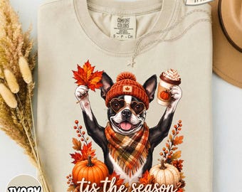 Tis The Season Boston Terrier Shirt, Cute Fall Dog Mom Coffee Pumpkin Tee, Thanksgiving Dog Lover Gift, Comfort Colors T-Shirt