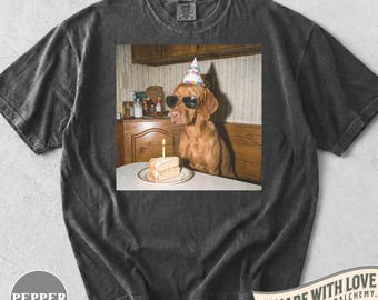 Grappige Vizsla verjaardag shirt, retro hond partij Tee, Vizsla minnaar cadeau, schattige hond moeder kleding, huisdier eigenaar cadeau