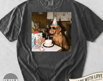 Grappige Vizsla verjaardag shirt, retro hond partij Tee, Vizsla minnaar cadeau, schattige hond moeder kleding, huisdier eigenaar cadeau