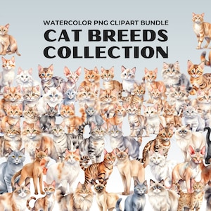 Cat Breeds Watercolor Clipart Bundle, Kittens illustrations Collections, Pets, Animals, commercial use, transparent background, Pussycat