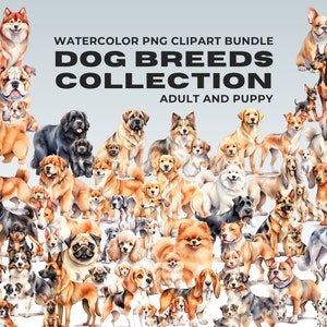 Watercolor Dogs Clipart PNG Bundle, Cartoon Style Puppy Illustrations, Different Dog Breeds, Nursery Animals, Pets Portrait, Commercial Use