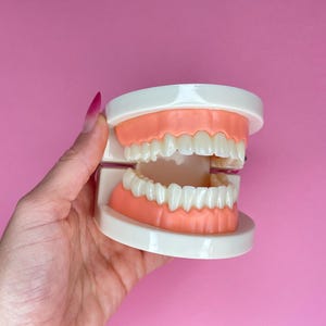 Dental training model