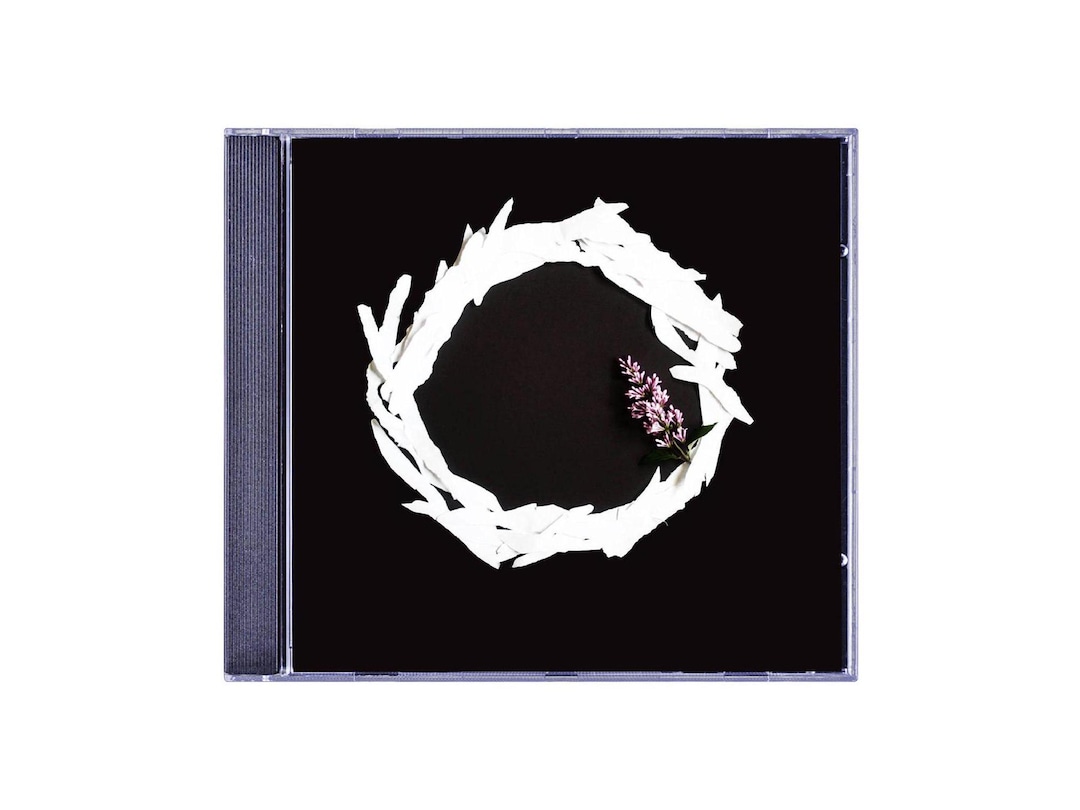 I Hate Sex Circle Thinking CD - Etsy