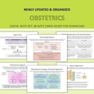 May include: A digital note set on obstetrics, featuring 38 note cards ready for download. The cards cover topics such as labor pain, the gravid uterus, fetal decelerations, uterotonic agents, respiratory changes, and spinal ligaments. The title reads "Obstetrics".