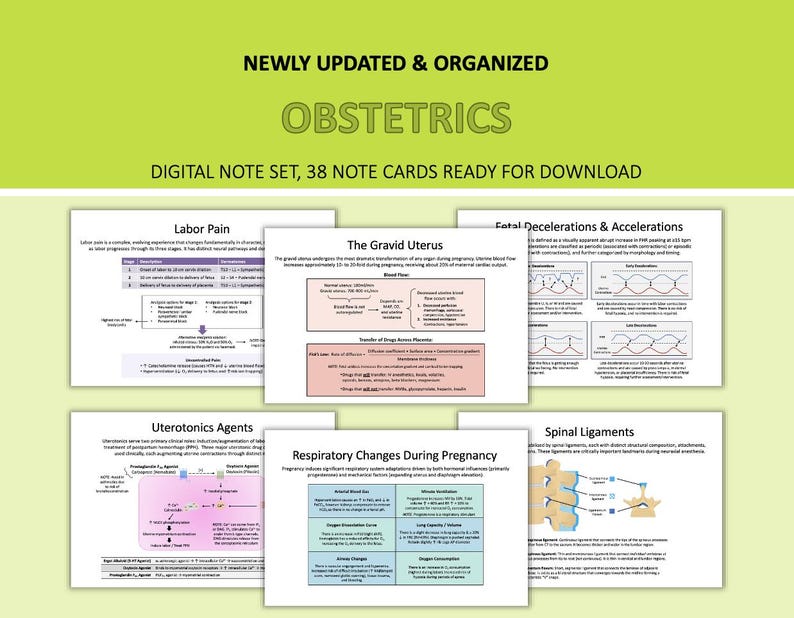 May include: A digital note set on obstetrics, featuring 38 note cards ready for download. The cards cover topics such as labor pain, the gravid uterus, fetal decelerations, uterotonic agents, respiratory changes, and spinal ligaments. The title reads "Obstetrics".