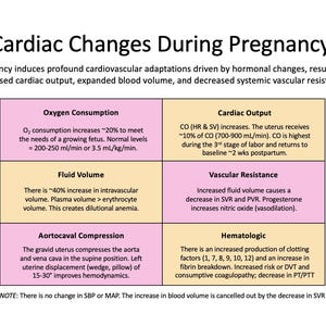 May include: A medical infographic titled "Cardiac Changes During Pregnancy" with text describing physiological changes. The graphic is divided into colored sections detailing oxygen consumption, fluid volume, and aortocaval compression.