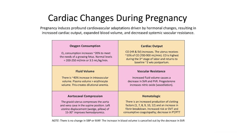 May include: A medical infographic titled "Cardiac Changes During Pregnancy" with text describing physiological changes. The graphic is divided into colored sections detailing oxygen consumption, fluid volume, and aortocaval compression.