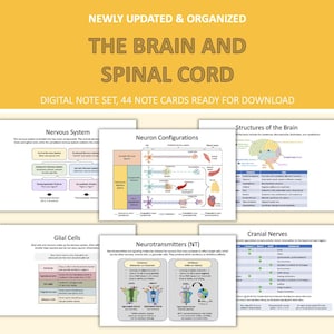 Puede incluir: Un conjunto de notas digitales titulado "El cerebro y la médula espinal" con 44 tarjetas de notas listas para descargar. Las tarjetas cubren temas como el sistema nervioso, las configuraciones neuronales, las estructuras cerebrales, las células gliales, los neurotransmisores y los nervios craneales.