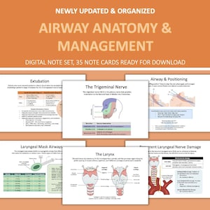 Airway Anatomy and Management SRNA/CRNA Notes, Anesthesia & Me Notes