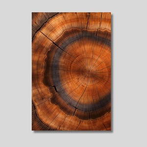 Tree Rings Canvas Print: Wood Texture Wall Art