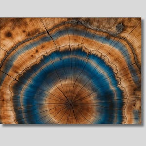 Tree Rings Canvas Print: Abstract Nature Wall Art