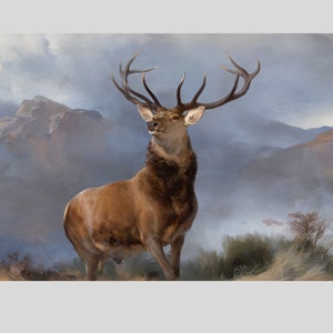 Monarch of the Glen Canvas Print: Stag Deer Scotland, Farmhouse Wall Art