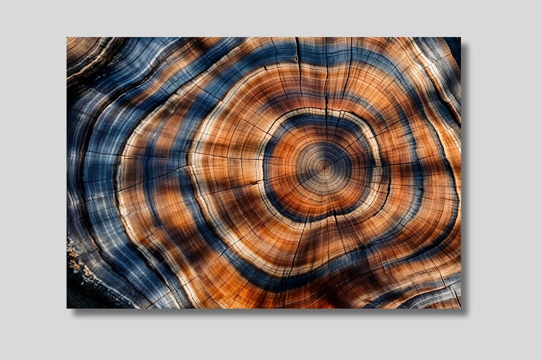 Tree Rings Canvas Print: Abstract Wood Texture Wall Art - Etsy