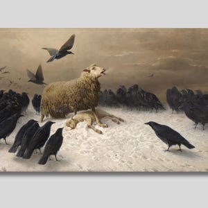 Anguish by Schenck Canvas Print: Sheep, Crows, Fine Art