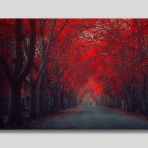 Roter Wald Druck Leinwand Wandkunst, Rote Blätter Poster, Baum Druck, Herbst Druck, Landschaftsdruck, Romantische Ansicht, Nebliger Wald, Geschenkidee