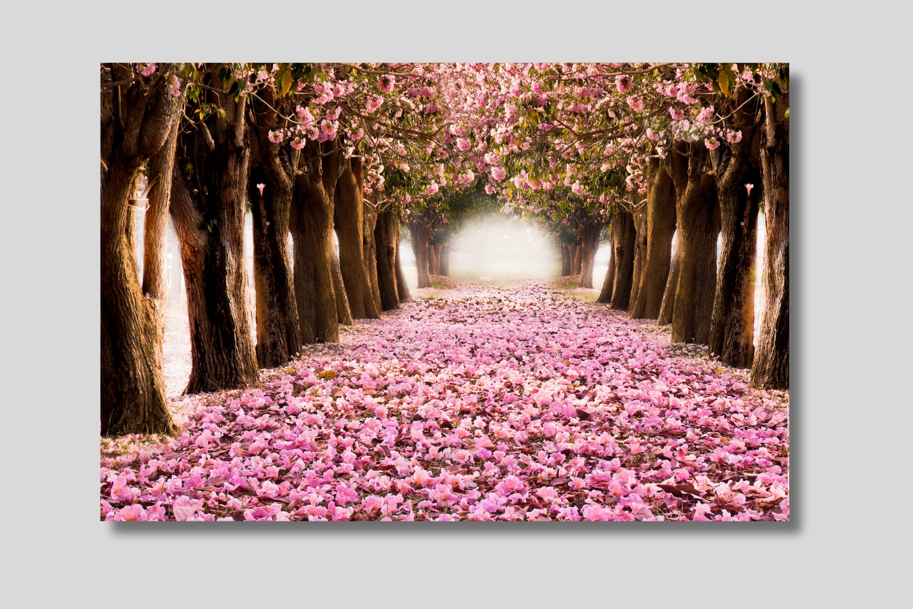 Cherry Blossom Road Painting - Etsy