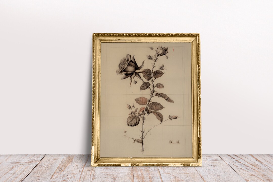 Vintage Floral Sketch Wall Art Antique Botanical Drawing Etsy