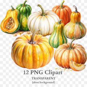 Imágenes prediseñadas de calabaza, imágenes prediseñadas de verduras de otoño, varias calabazas, imágenes prediseñadas de cosecha de otoño, imágenes prediseñadas de calabaza sin fondo, 12 imágenes prediseñadas de calabaza PNG