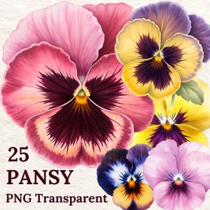 25 Clipart di viole del pensiero, illustrazioni di fiori ad acquerello stampabili, PNG trasparenti, download digitale, sublimazione, creazione di biglietti