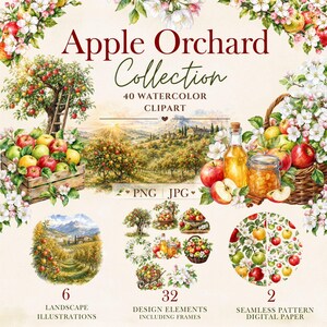Puede incluir: Colección Apple Orchard 40 imágenes prediseñadas en acuarela con ilustraciones de manzanos, cajas de madera, cestas de manzanas rojas y verdes, frascos de vidrio con jugo y conservas, paisajes y patrones con motivos de manzanas.