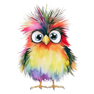 10 cliparts d'oiseaux drôles à l'aquarelle, images d'oiseaux, PNG transparents, clipart à télécharger numérique, conception de sublimation, artisanat en papier, journal