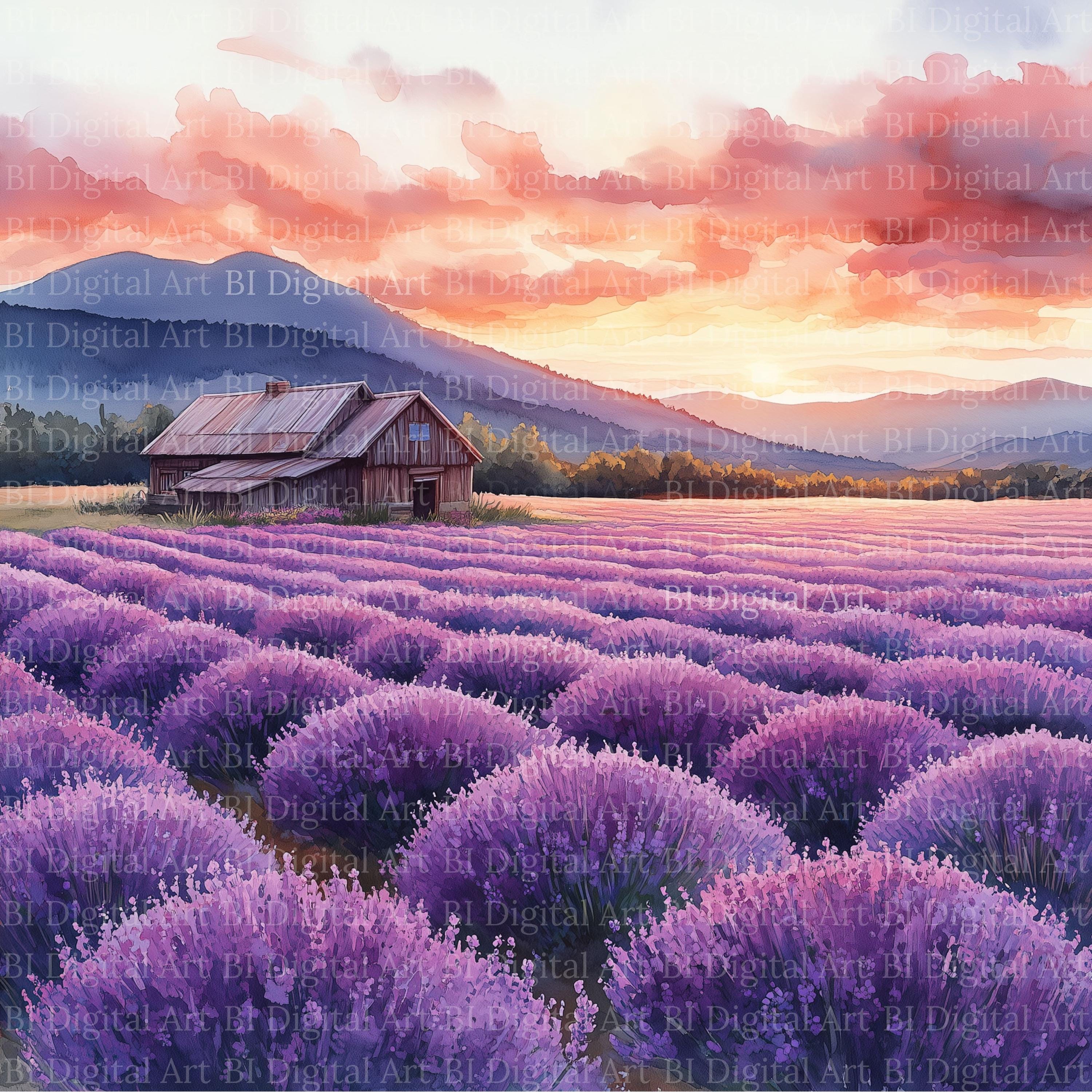 ラベンダー畑のクリップアート8枚、夕焼けの水彩風景、プロヴァンスの