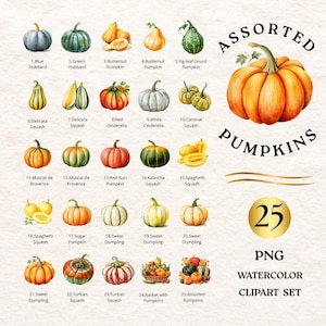 Può includere: Una collezione digitale di 25 illustrazioni ad acquerello raffiguranti varie zucche, numerate da 1 a 25. Il testo recita Assorted Pumpkins, 25 PNG Watercolor Clipart Set. Ogni elemento è raffigurato nella sua tavolozza di colori naturali.