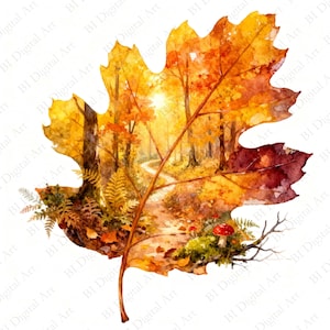 Peut inclure: Une illustration de feuille de chêne présentant une scène de forêt à l'aquarelle avec des arbres dorés d'automne, un sentier sinueux, des fougères vertes et un petit champignon rouge à pois blancs sur le sol, sur un fond blanc.