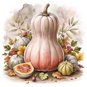 Kürbis Clipart, Herbstgemüse Clipart, Verschiedene Kürbisse, Herbst Ernte Clipart, JPG, druckbare Clipart, Papiermodell, Junk Journals