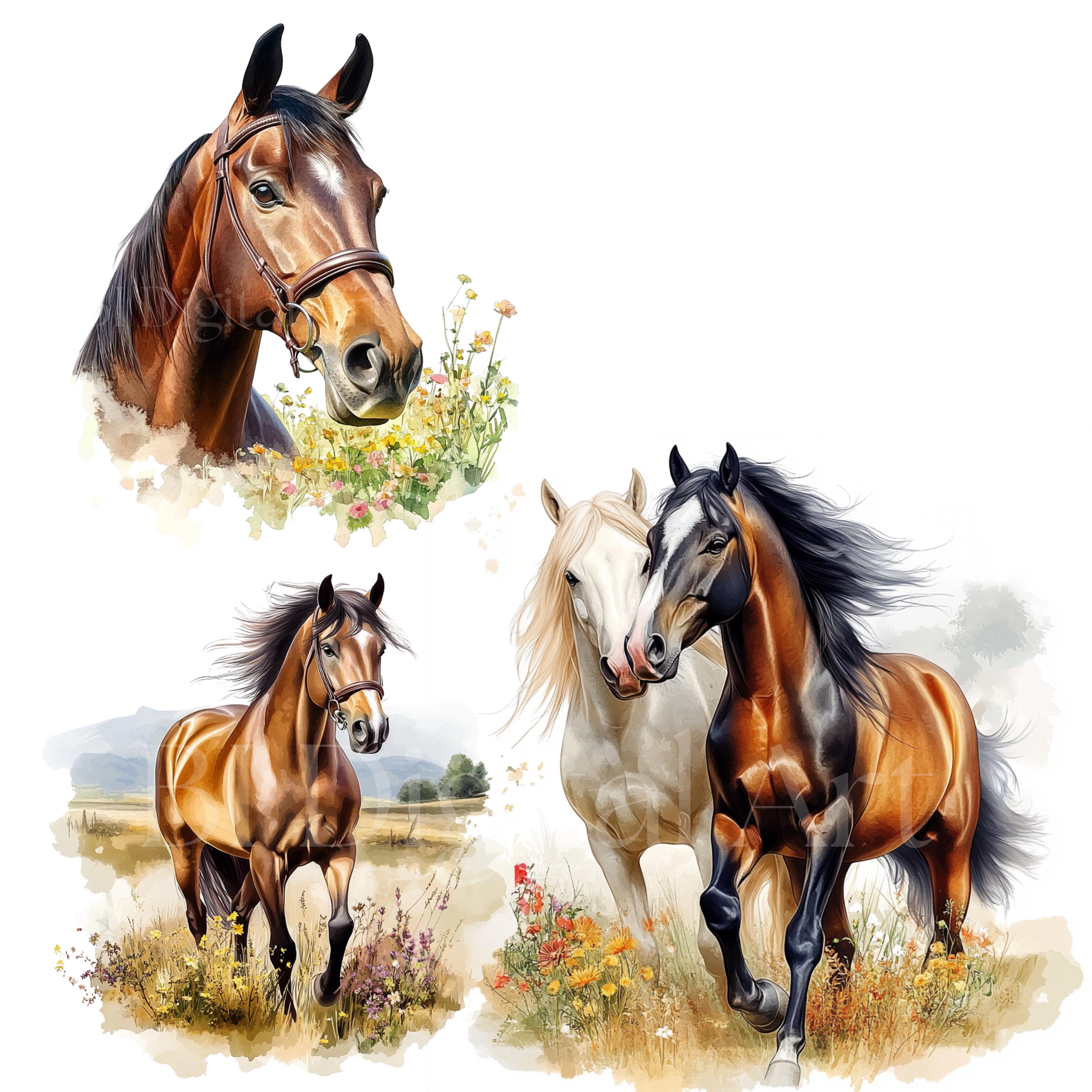 水彩画風の馬のイラストクリップアート、馬のウォールアート（デジタル